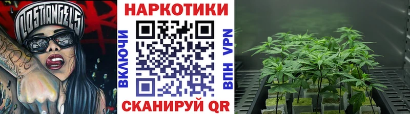 Где купить наркоту Фрязино Гашиш  Альфа ПВП  МЕФ  МАРИХУАНА 
