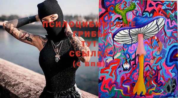 альфа пвп Абаза